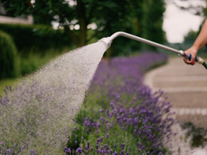 Water wand 85cm