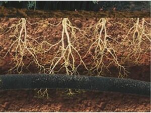 Watering hose AQUA-DROP 1/2" - 50m