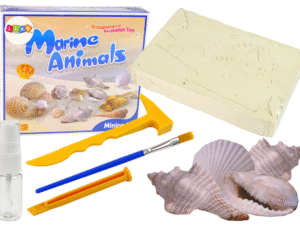 Excavation Discovery Set Marine Animals