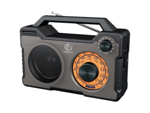 Głośnik Bluetoooth/Radio RODOS