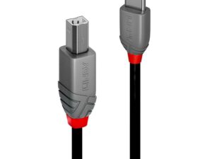 Cablu Lindy 2m USB 2.0 Tip A la Tip B "LY-36942" (timbru verde 0.18 lei)