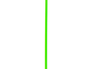 Gimnastikos Lazda NO10 SPR-25120 G 120 cm