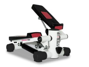 Mini stepper EVERFIT STEP UP
