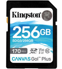 Kingston  256GB Canvas Go Plus Memory Card