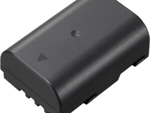 Panasonic battery DMW-BLF19