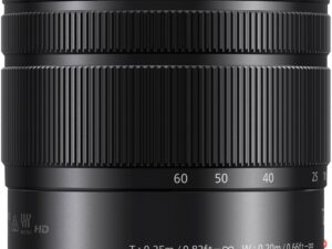 Panasonic Lumix G Vario 12-60mm f/3.5-5.6 Power O.I.S. lens, black