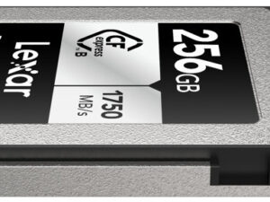 Lexar memory card CFexpress Type B 256GB Professional Silver