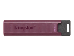 USB stick KINGSTON DataTraveler Max 256GB