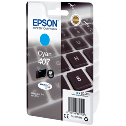 Tint Epson Ink Cartridge L, tsüaan