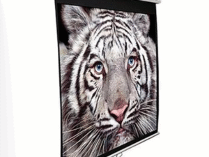 ELITE SCREENS plátno roleta 135" (342,9cm)/ 16:9/ 167,6×298cm/ gain 1.1/ case bílý