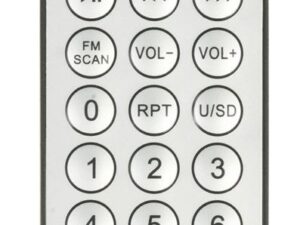Blaupunkt PP5BR