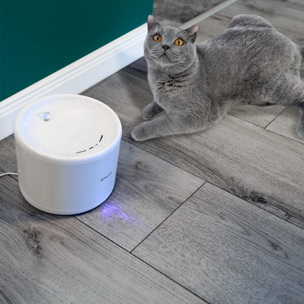 Tellur Smart WiFi Pet Water Dispenser, 2L white - Image 5