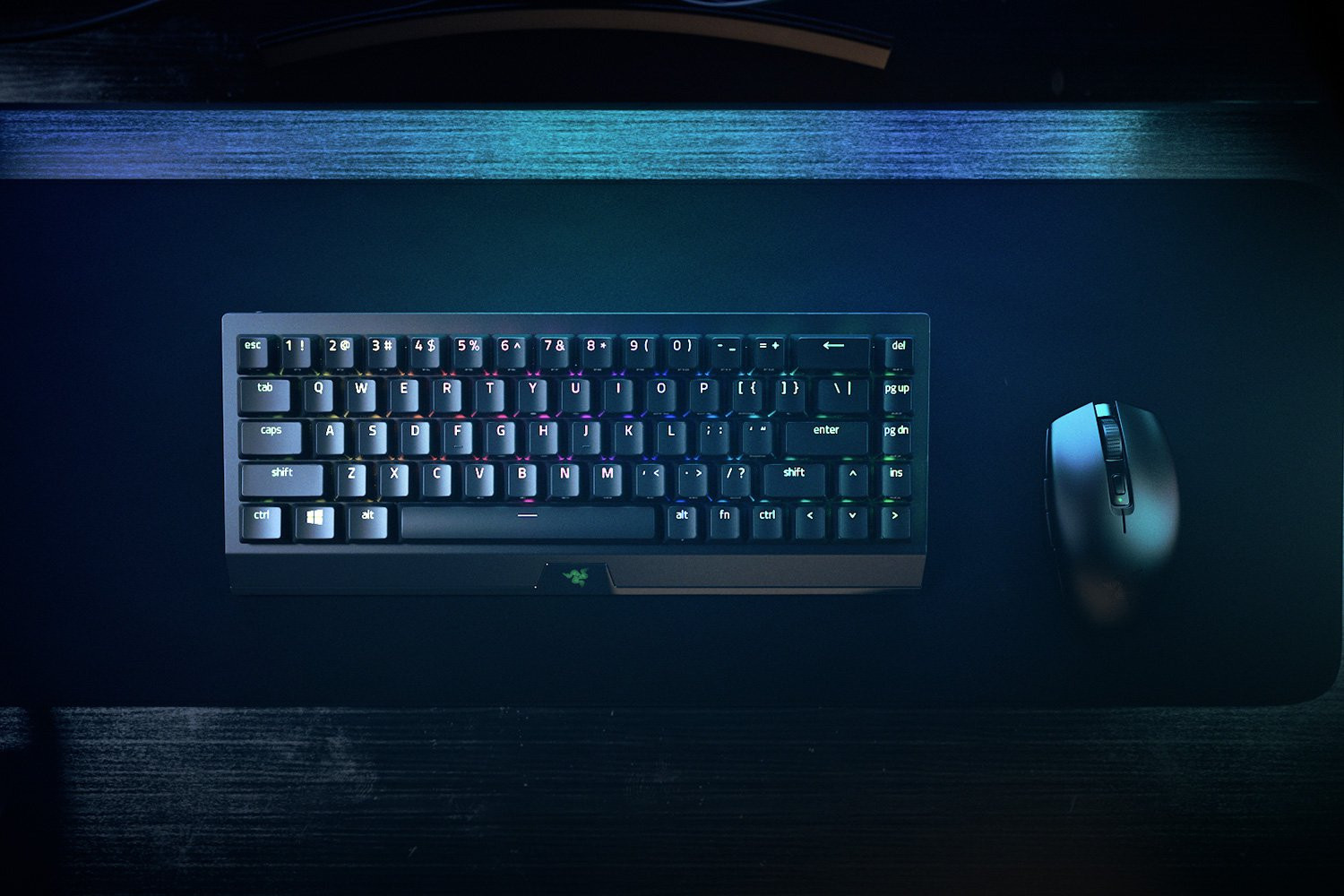 Razer wireless keyboard BlackWidow V3 Mini HyperSpeed US - Image 8