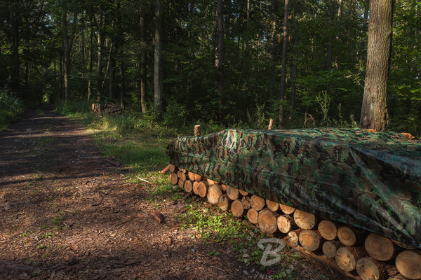 Tarpaulin CAMOforest 5 x 8m 90g/m² - Image 6