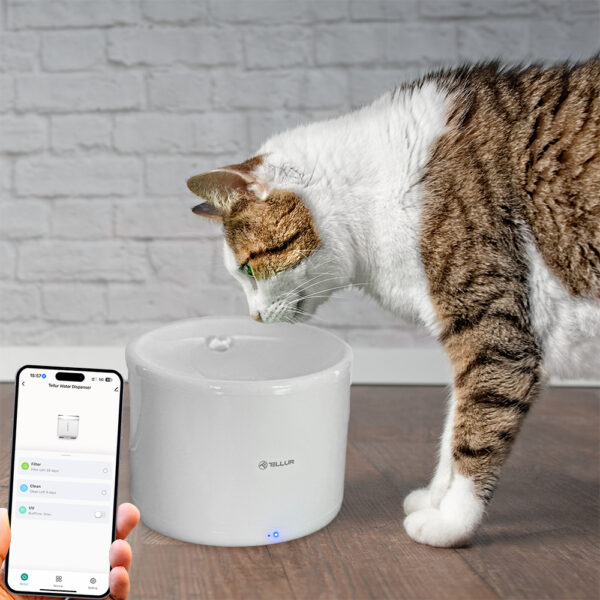 Tellur Smart WiFi Pet Water Dispenser, 2L white - Image 3